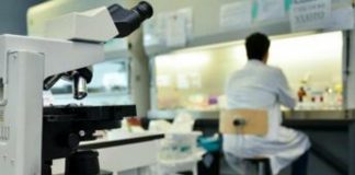 Tumori, scoperto un Rna potenziale bersaglio per fermare mieloma multiplo