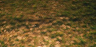 Panoramica sui guadagni di Google Adsense