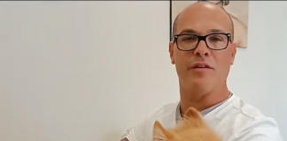 “Siamo ladri, ma onesti”, restituito Maui, il cagnolino della bimba disabile rubato sabato