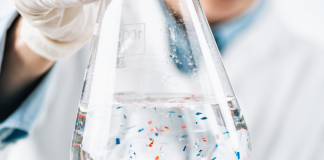 Ambiente, le microplastiche si respirano, trovate nell’alito dei delfini