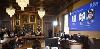 Nobel, Cicero (Tor Vergata): “Da Baker e Hassabis svolta in risoluzione struttura proteine”