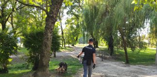 Controllo del territorio della Questura in città: rinvenute altre dosi di droga