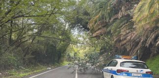 Roma, alberi caduti bloccano via Portuense: residenti ‘prigionieri’