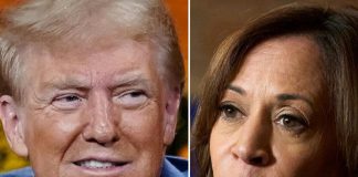 Elezioni Usa, Harris ritorna in testa di due punti nel voto popolare