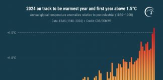 Allarme Copernicus, il 2024 sarà l’anno più caldo di sempre