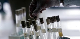 Nisticò (Aifa): “Lavoriamo per migliorare accesso a terapie oncologiche”