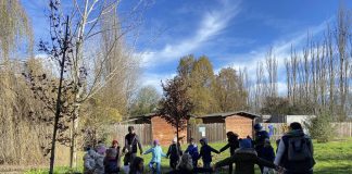 Piantumate nuove essenze a Pegognaga nella duplice giornata dell’albero