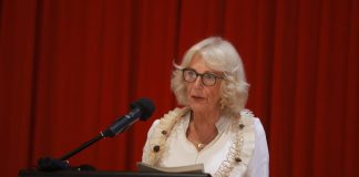Camilla contro la violenza domestica: la regina in documentario su vittime abusi