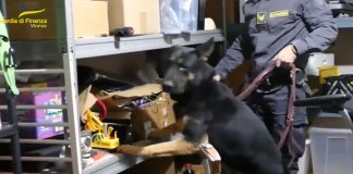 Traffico di cocaina tra la Colombia e Mantova, la Gdf arresta 15 persone