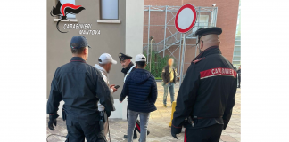 Il cane “Gina” fiuta hashish e marijuana in una casa. Denunciato 26enne