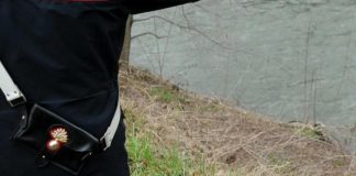 Cane maltrattato e abbandonato morto dentro una borsa sull’argine. Denunciata la proprietaria