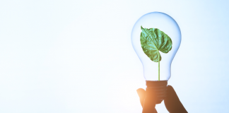 Energia: report, in ripresa le rinnovabili elettriche