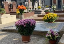 Un fiore per il ricordo: il 2 novembre e la memoria che vive