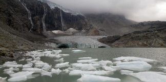 Il 2024 è l’anno più caldo di sempre: l’allarme di Copernicus