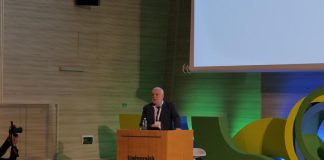 Trasporti, Gibelli (Fnm): “Con Fili piccoli centri equipotenziali a grandi città”