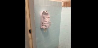 I tifosi della Cremonese devastano i bagni del Martelli dopo il derby