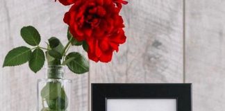 Totò Riina, figlio ricorda padre boss in anniversario morte: pioggia di like e cuori