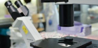 Cancro, svelato nuovo bersaglio per combattere tumore della colecisti