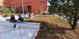Università, Iannantuoni: “Piazza della Scienza progetto di rigenerazione urbana innovativa”
