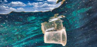 Coopservice e Servizi Italia a Ecomondo con il progetto Fishing for Litter