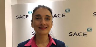 Ricci (Sace): “Crescente esposizione verso Africa, opportunità per nostre pmi”
