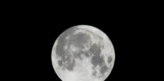 Stasera l’ultima Superluna del 2024, cos’è e come vederla