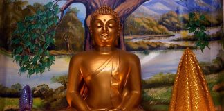 Thailandia, 73 cadaveri nei templi buddisti: “Usati per meditare”