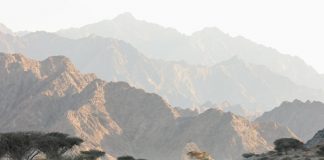 Automobilismo, Hotz-Mozzi si aggiudicano la 1000 Miglia Experience Uae 2024
