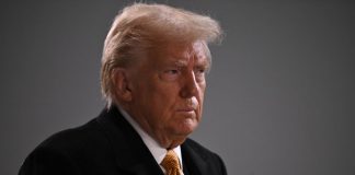 Ucraina, Trump “Zelesky vorrebbe l’accordo, fermare questa follia”