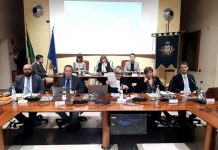 Agrivoltaico “Suzzara Moccia”, la Giunta approva 278mila euro di compensazioni ambientali