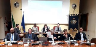 Suzzara affida a Mantova Ambiente la gestione del verde dal 2027