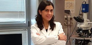 Ricerca: scoperto potenziale trattamento per autismo e sindrome X fragile