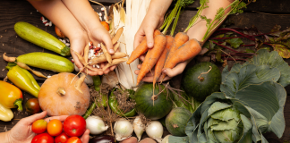 Sostenibilità, The Good Farmer Award: i vincitori della prima edizione