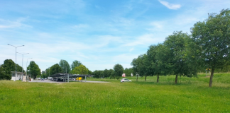 Nuova area di sgambamento cani: sorgerà a lato di piazzale della Libertà