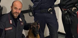 Omicidio Roberto Guerrisi, ritrovata l’arma del delitto grazie al fiuto del cane Cooper
