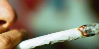 Nuovo codice strada, cannabis e fumo passivo: cosa captano i test e per quanto tempo