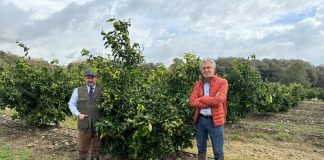 Agroalimentare, Op Armonia, da Salerno arriva unica varietà italiana di clementina tardiva