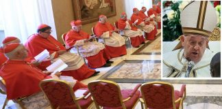 Papa al Concistoro con un ematoma sotto il mento