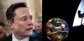 Elon Musk, nuovo nome su X. E un meme diventa immagine profilo