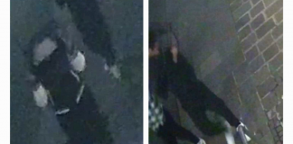 Suzzara, rubano tavolo e sedie all’Annamaria’s Pizza ripresi dalle telecamere