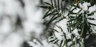 Due tempeste polari sull’Italia, crollano le temperature: le previsioni meteo