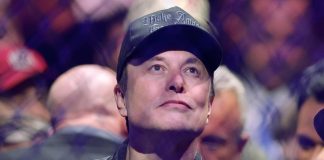 Elon Musk: “Solo Afd può salvare la Germania”