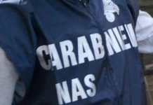 Moglia, Nas nell’allevamento: bloccata la movimentazione degli animali, sanzioni per oltre 26mila euro