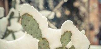 Solstizio d’inverno 2024, oggi è il giorno più corto dell’anno