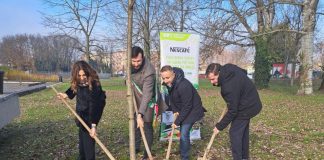 Sostenibilità, PiantiAmo il futuro: 200 alberi a Ferrara con il progetto di Nescafé