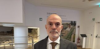 Ricozzi (Osservatorio Eurispes-Enpam): “Burnout per 50% operatori”