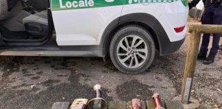 Due spade trovate a Bosco Fontana: indaga la Polizia Locale