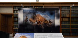 ‘World Unseen’ a Roma, esposizione che ridefinisce esperienza fotografica