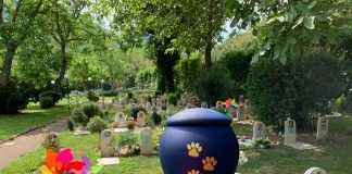 Animali domestici: da Regione Lombardia ok a cimiteri e cremazioni