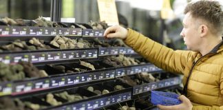 Millenaria, pochi espositori: salta il Carpitaly. A rischio anche la Millennium Cat